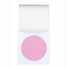 BETER COMPACT BLUSH 02 RICH ROSE