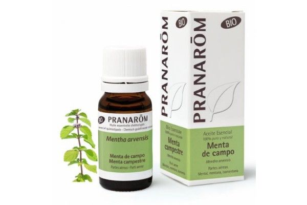 PRANAROM ACEITE ESENCIAL MENTA DE CAMPO 10 ML