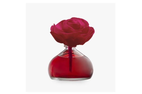 BETRES ON AMBIENTADOR FLOR JAZMÍN