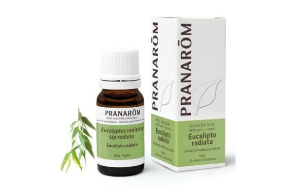 PRANAROM ACEITE ESENCIAL EUCALIPTO RADIATA 10 ML